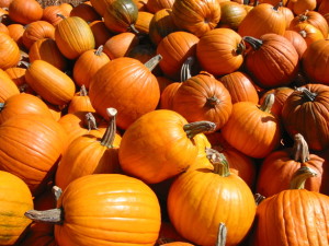 pumpkins-1469712